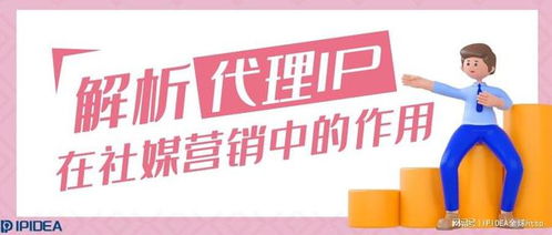 代理IP與代理服務 社媒營銷中的隱形引擎